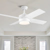 Intergrated Ceiling Fan